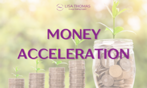 Money Acceleration Program